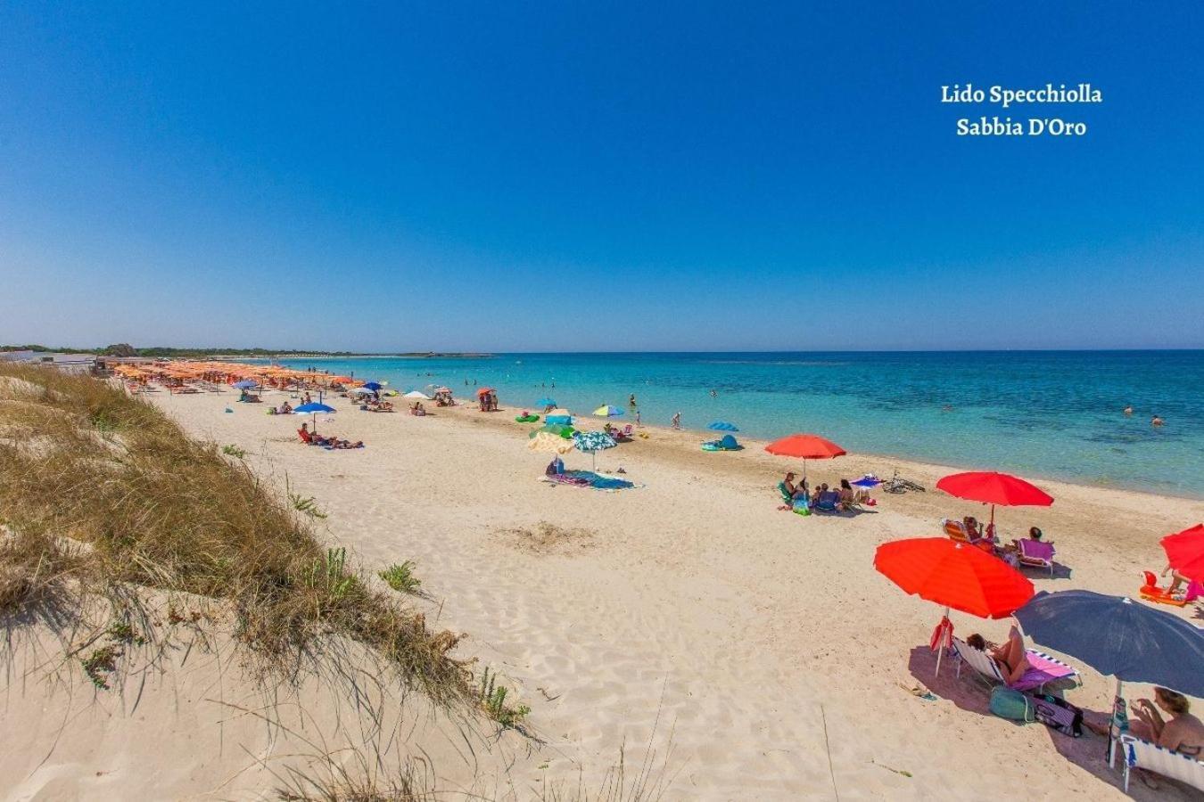 ספקיולה La Maison De Rosetta Al Mare מראה חיצוני תמונה